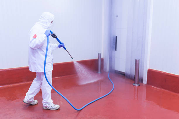 Best Parking Lot and Garage Cleaning  in Newellton, LA